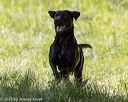 20220605-finw-1608
