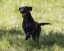 20220605-finw-1614