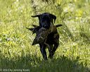 20220605-finw-1643