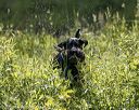 20220605-finw-1663