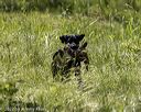 20220605-finw-1709