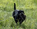20220605-finw-1784