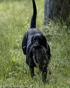 20220605-finw-1795