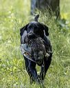 20220605-finw-1798