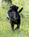 20220605-finw-1805