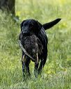 20220605-finw-1811