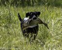 20220605-finw-1834