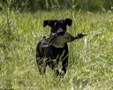 20220605-finw-1836