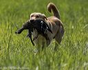 20220723-jhl-1042