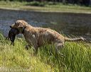 20220723-jhw-0395