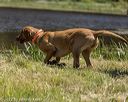 20220723-jhw-0983
