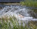 20220723-jhw-1471