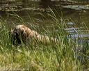 20220723-jhw-1478