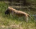 20220723-jhw-1498