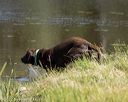20220723-jhw-2187