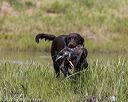 20220724-jhw-1434