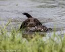 20220724-jhw-1459