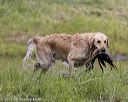 20220724-jhw-1816
