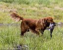 20220724-jhw-1896