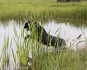 20220724-jhw-1961