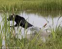 20220724-jhw-2074