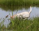 20220724-jhw-2172