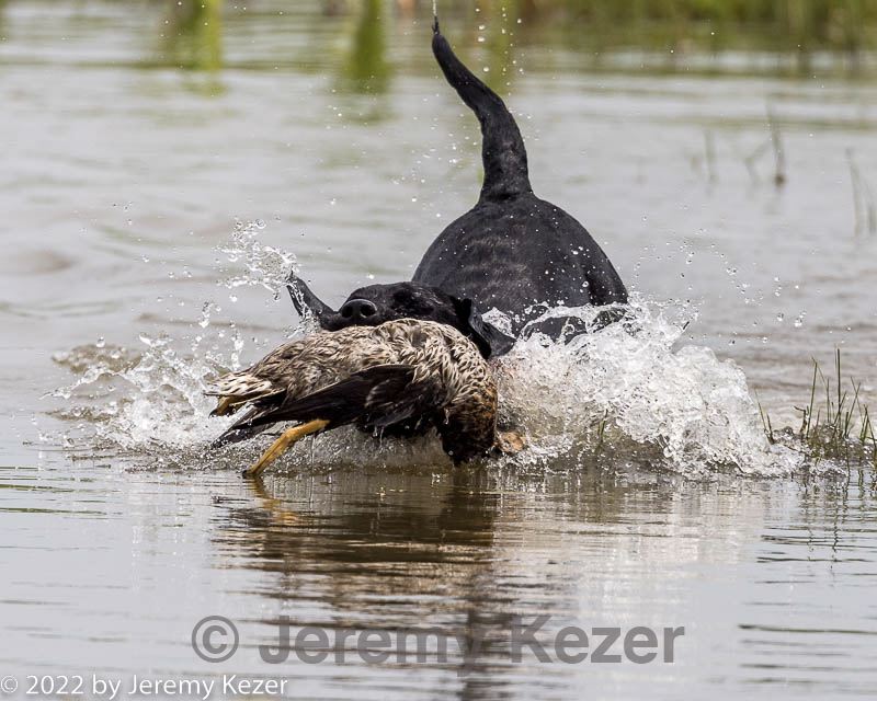 20220724-jhw-0977.jpg