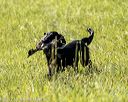 20220731-jhl-0584
