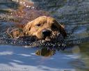 20220731-jhw-0106