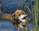 20220731-jhw-0292