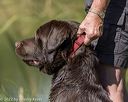 20220731-jhw-0453