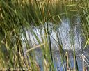 20220731-jhw-0481