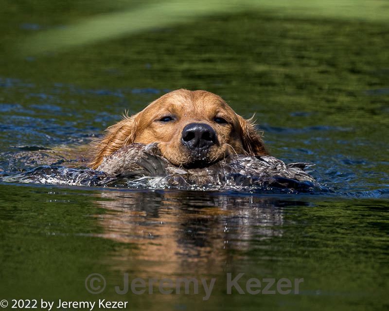20220731-jhw-0077.jpg