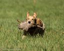 20220924-jhl-0207