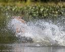 20220924-jhw-0046