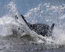 20220924-jhw-0178