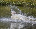 20220924-jhw-0372