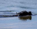 20220924-jhw-0417a