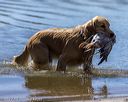 20220924-jhw-0431
