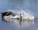20220924-jhw-0473