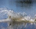 20220924-jhw-0496