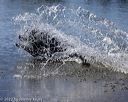 20220924-jhw-0507