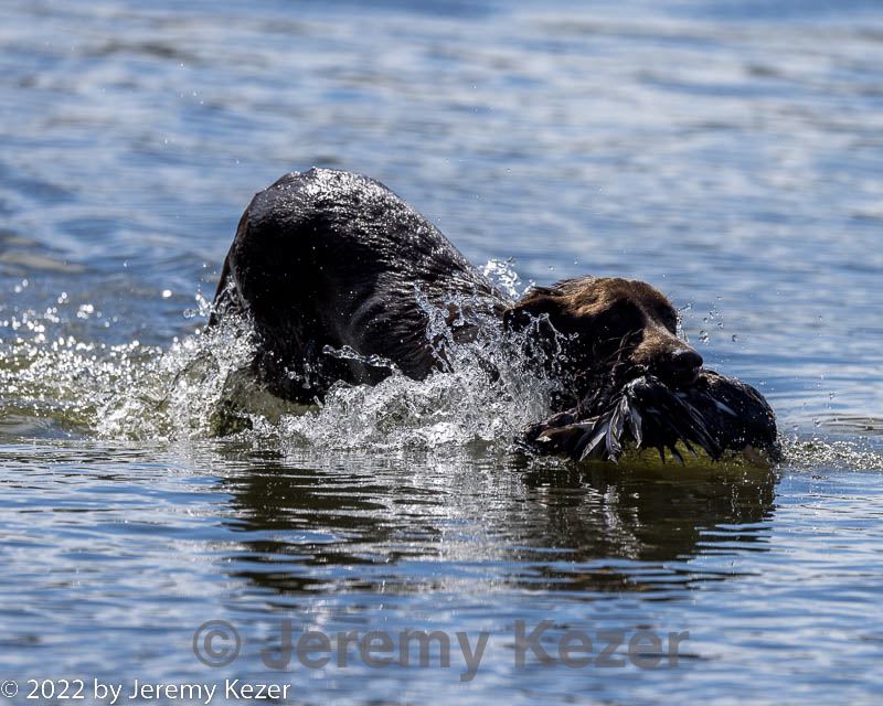 20220924-jhw-0152.jpg