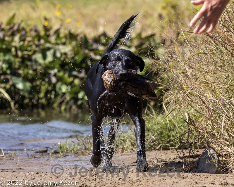 20220924-jhw-0297.jpg