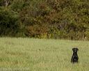 20220925-shl-0071