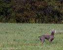 20220925-shl-0099
