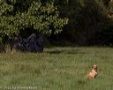 20220925-shl-0161