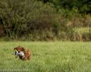 20220925-shl-0184