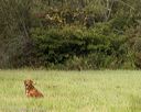 20220925-shl-0199