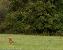 20220925-shl-0238